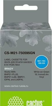 CACTUS CS-M21-750595GN фото